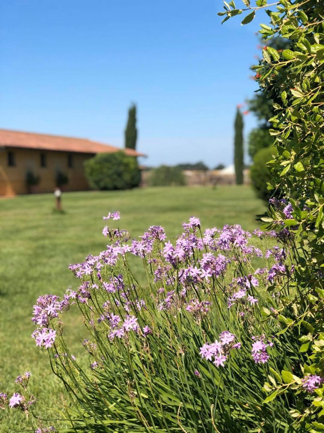 La Giuncola Villa Rispescia Bagian luar foto